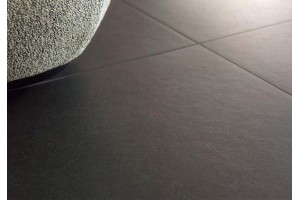 AURIS/АУРИС